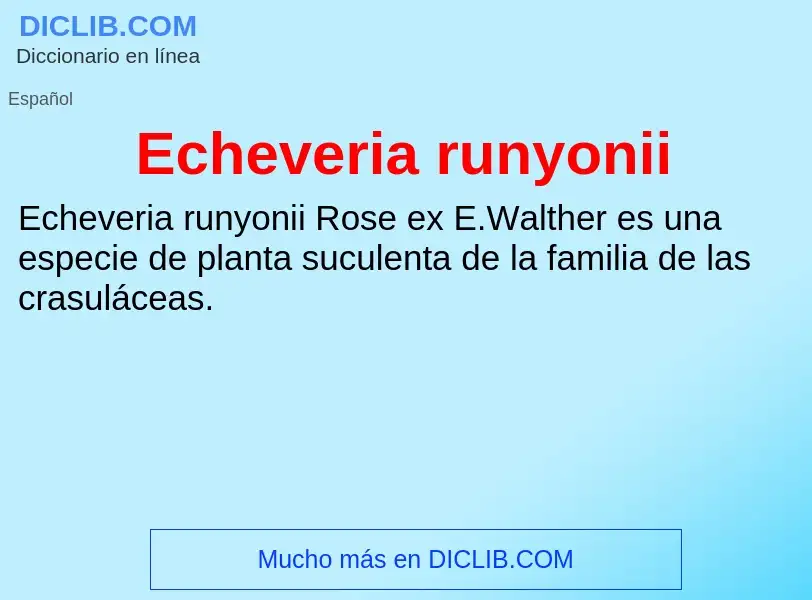 What is Echeveria runyonii - meaning and definition