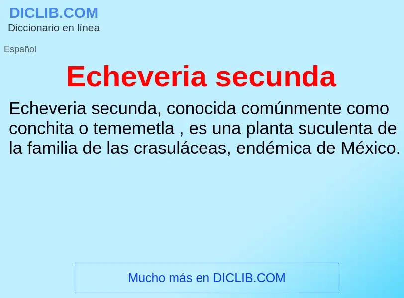 What is Echeveria secunda - meaning and definition