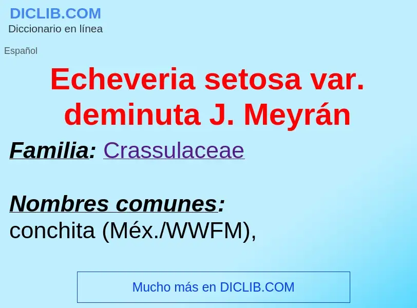 What is Echeveria setosa var. deminuta J. Meyrán - meaning and definition