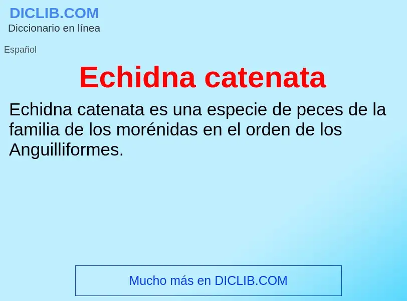 What is Echidna catenata - meaning and definition