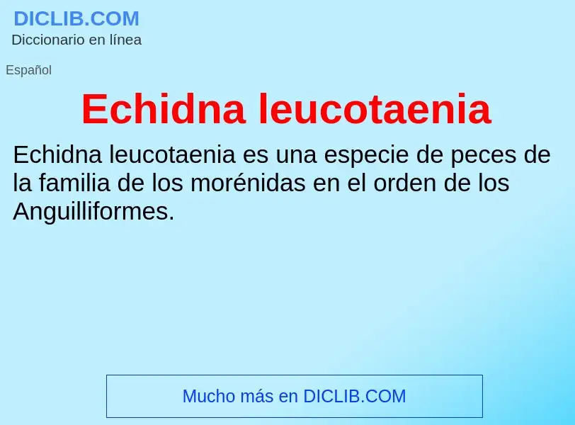 What is Echidna leucotaenia - meaning and definition