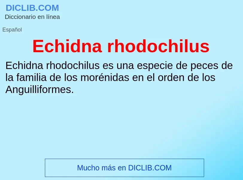 What is Echidna rhodochilus - meaning and definition