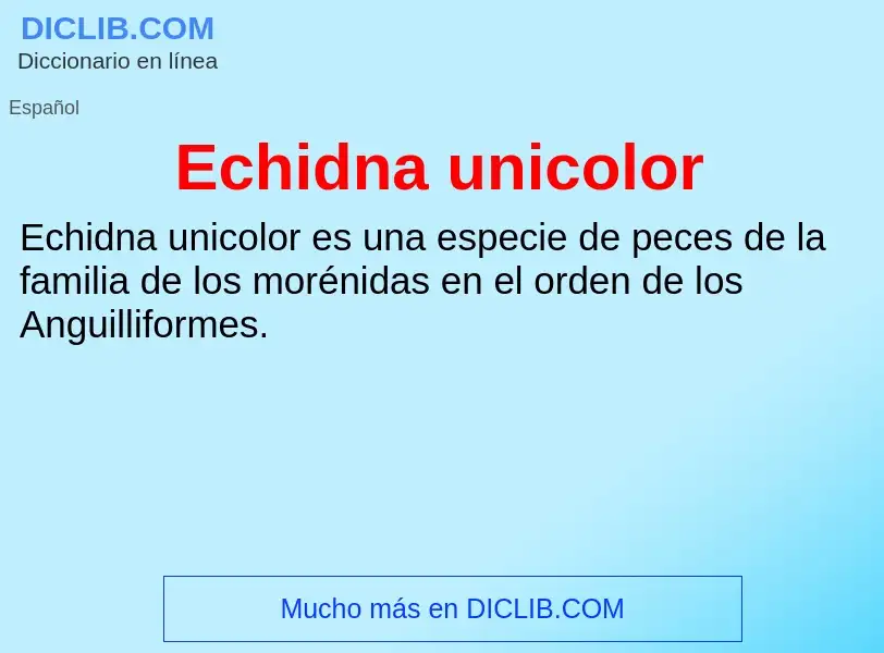 What is Echidna unicolor - meaning and definition