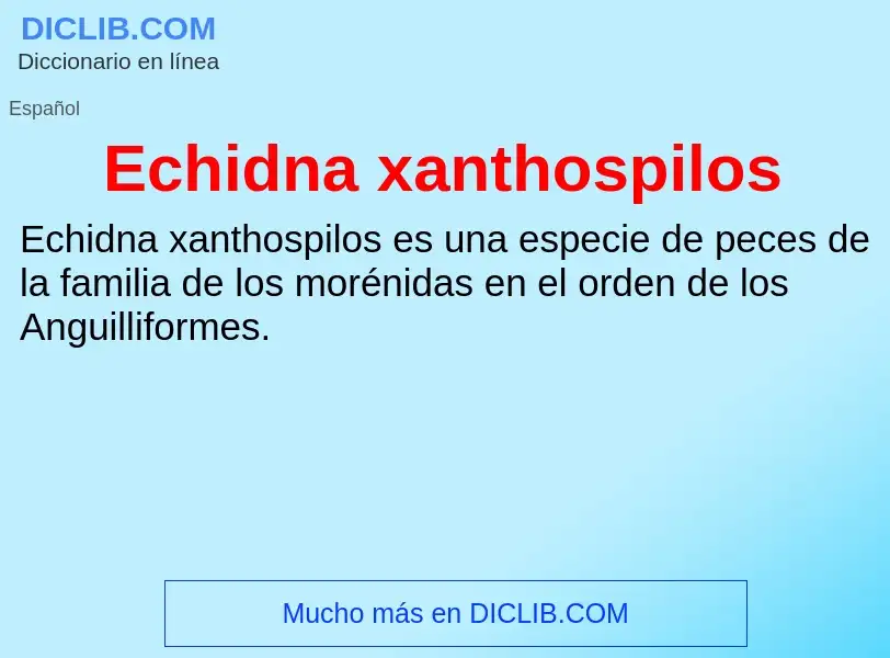 What is Echidna xanthospilos - meaning and definition