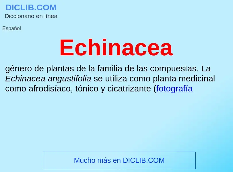 What is Echinacea - meaning and definition