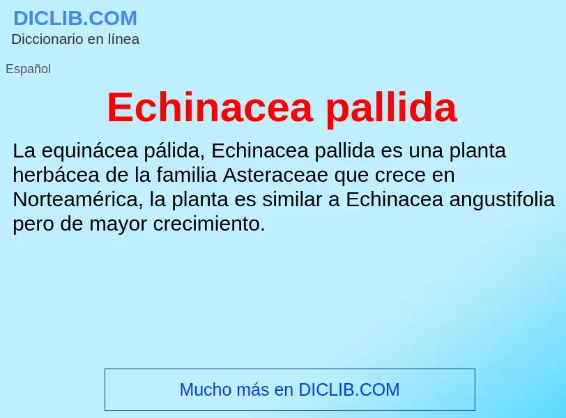 What is Echinacea pallida - meaning and definition