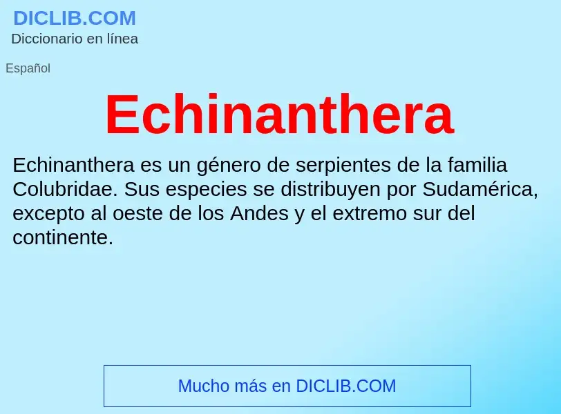 What is Echinanthera - meaning and definition