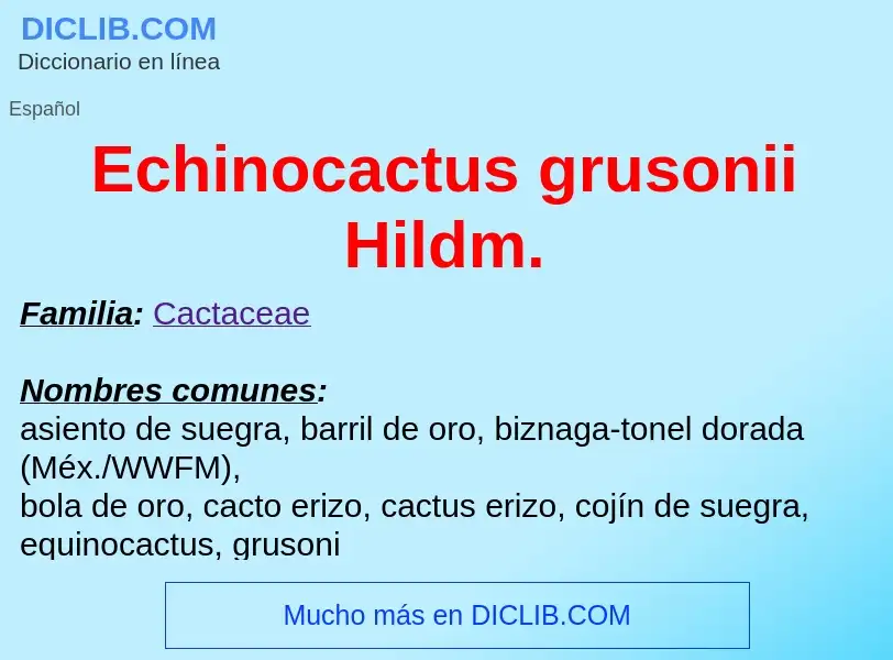 What is Echinocactus grusonii Hildm. - meaning and definition