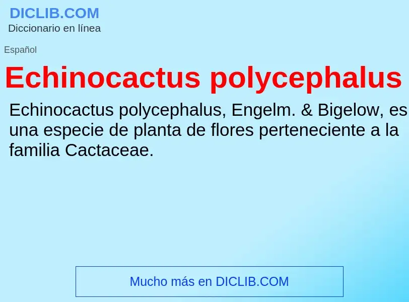 What is Echinocactus polycephalus - meaning and definition