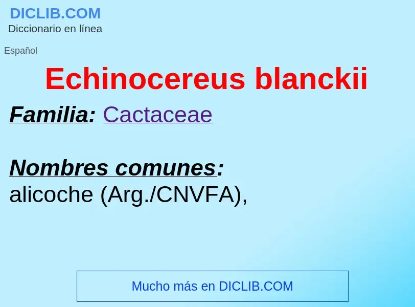 What is Echinocereus blanckii - meaning and definition