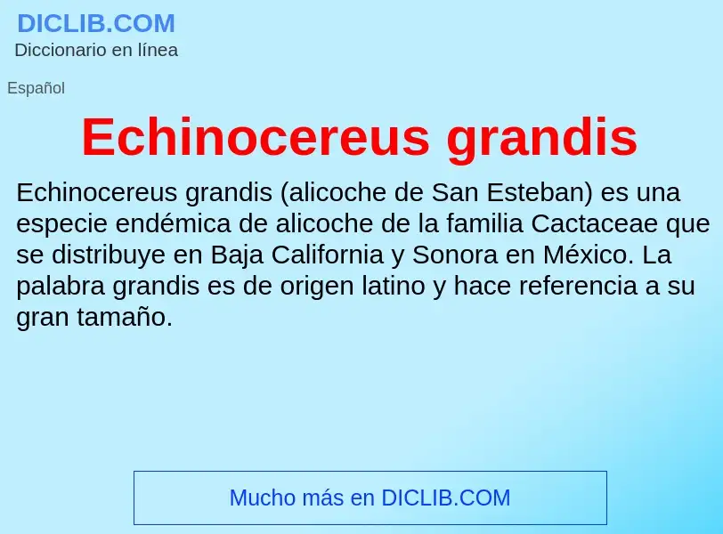 What is Echinocereus grandis - meaning and definition