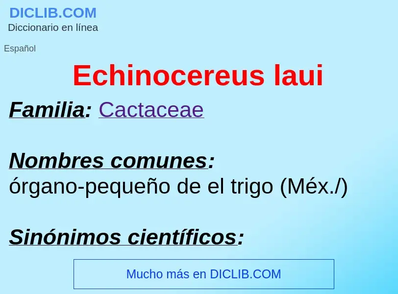 What is Echinocereus laui - meaning and definition