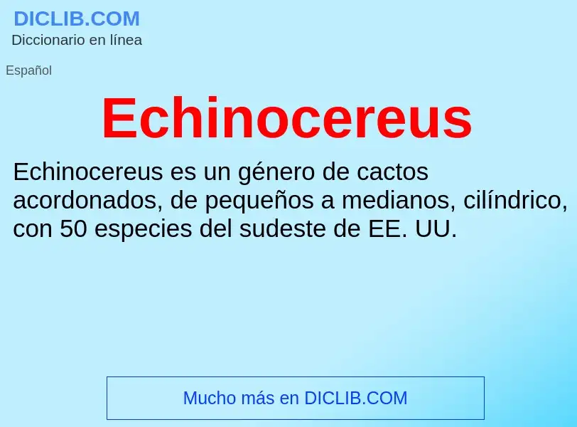 What is Echinocereus - meaning and definition