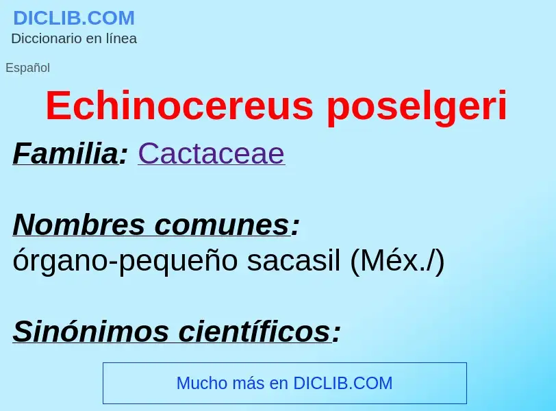 What is Echinocereus poselgeri - meaning and definition