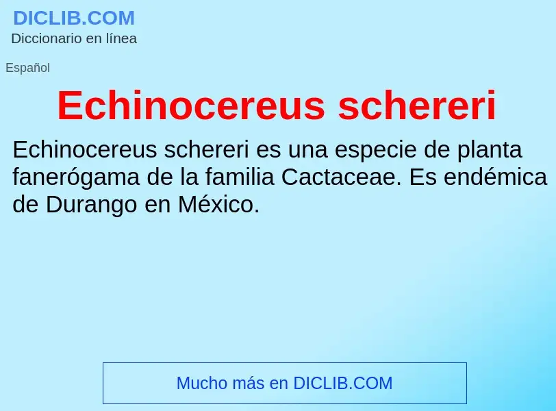 What is Echinocereus schereri - meaning and definition