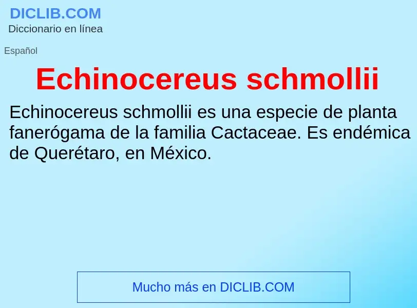 What is Echinocereus schmollii - meaning and definition