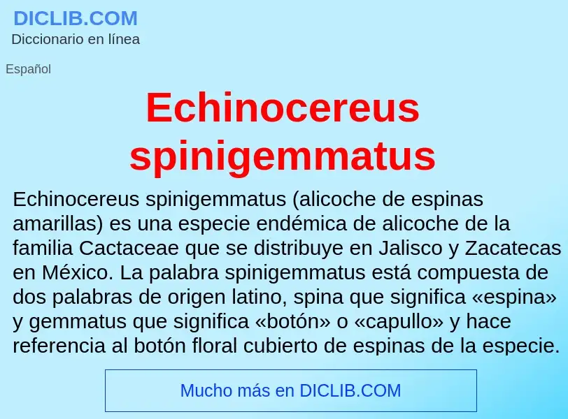 What is Echinocereus spinigemmatus - meaning and definition