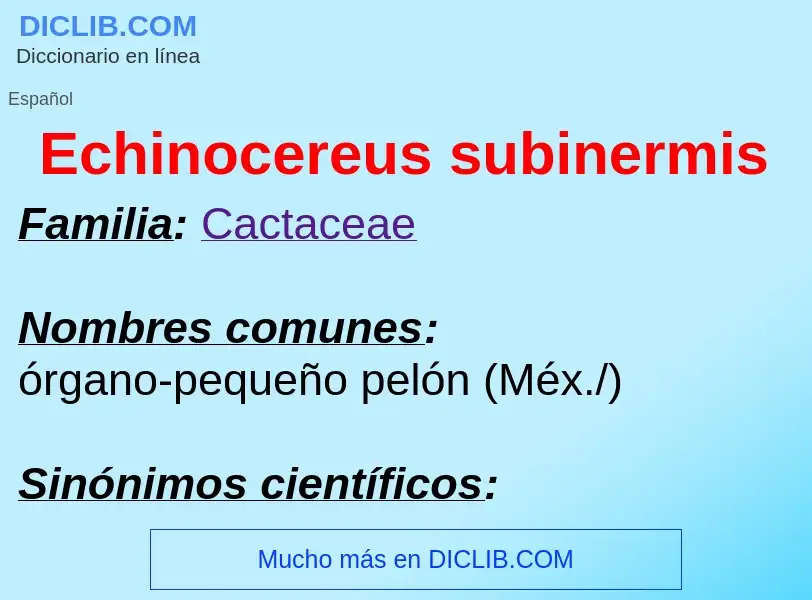 What is Echinocereus subinermis - meaning and definition