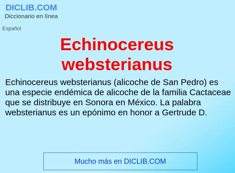 What is Echinocereus websterianus - meaning and definition