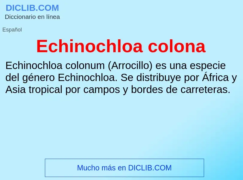 What is Echinochloa colona - meaning and definition