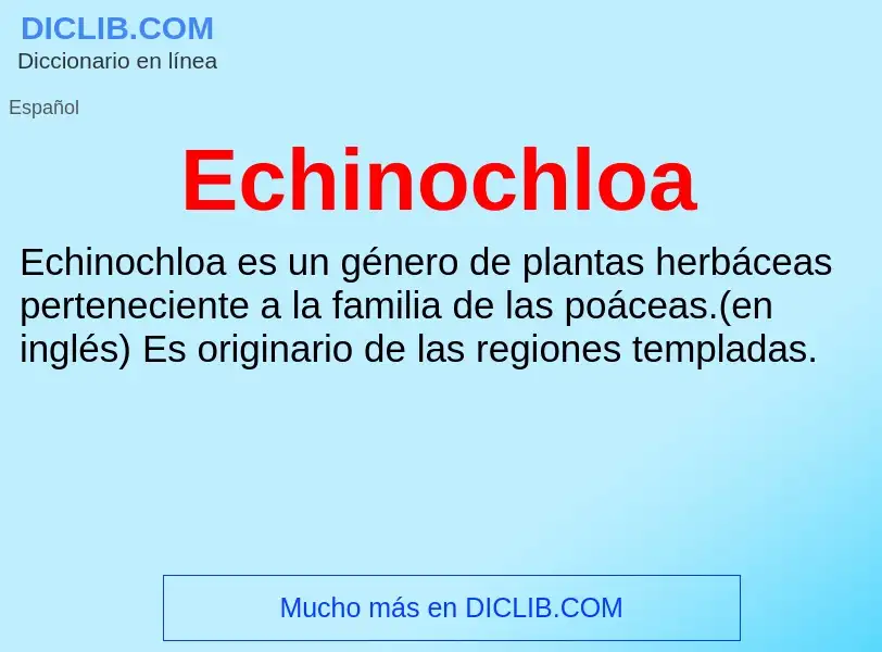 What is Echinochloa - meaning and definition