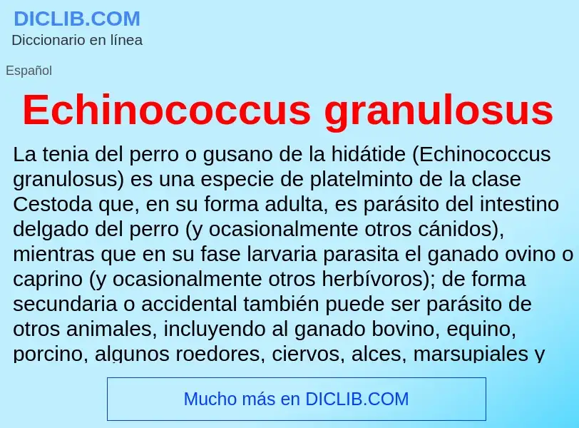 What is Echinococcus granulosus - meaning and definition