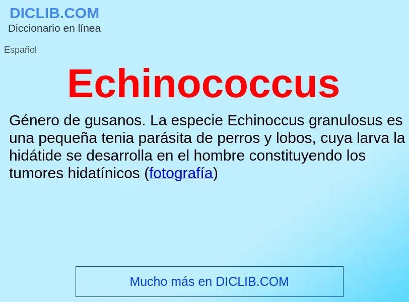 What is Echinococcus - meaning and definition