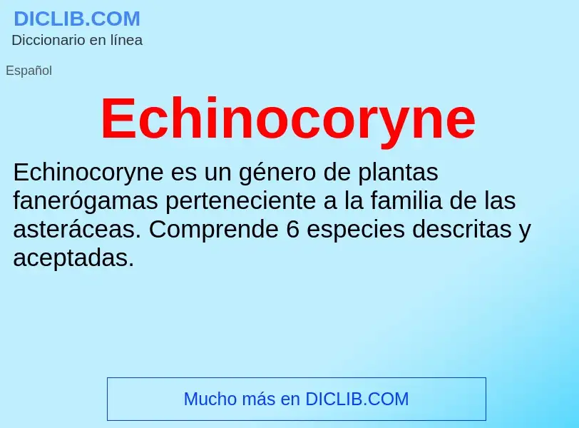 What is Echinocoryne - meaning and definition