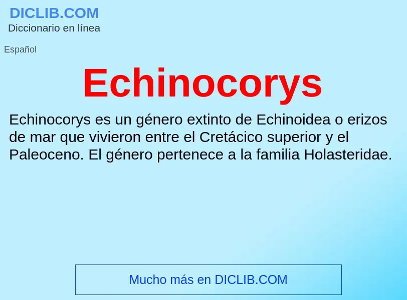 What is Echinocorys - meaning and definition