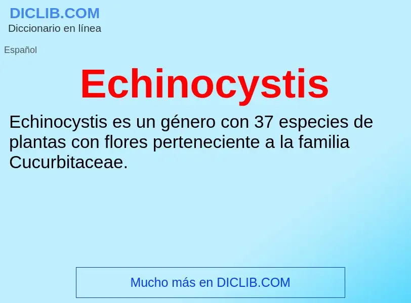 What is Echinocystis - meaning and definition