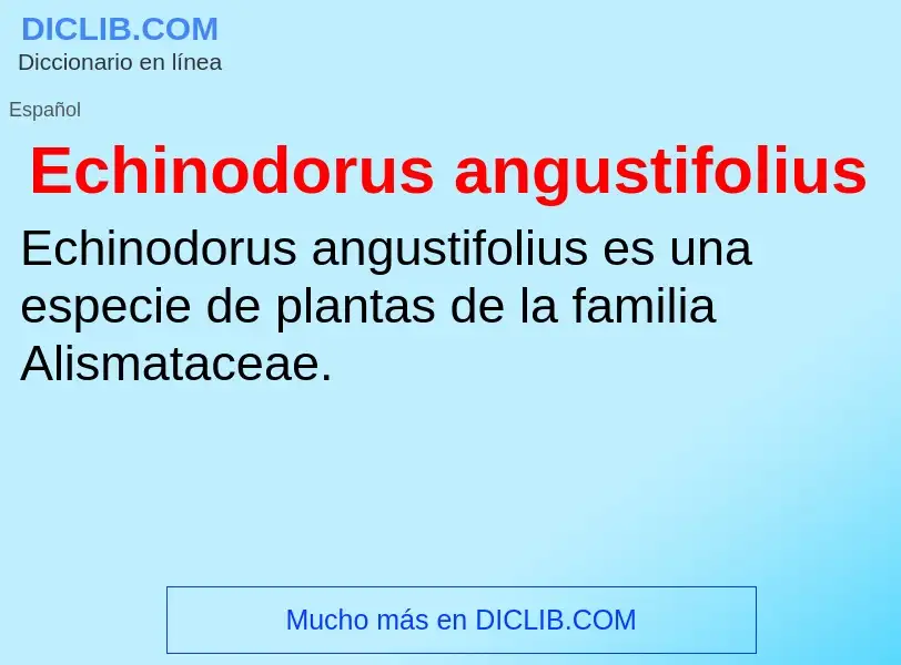 Что такое Echinodorus angustifolius - определение