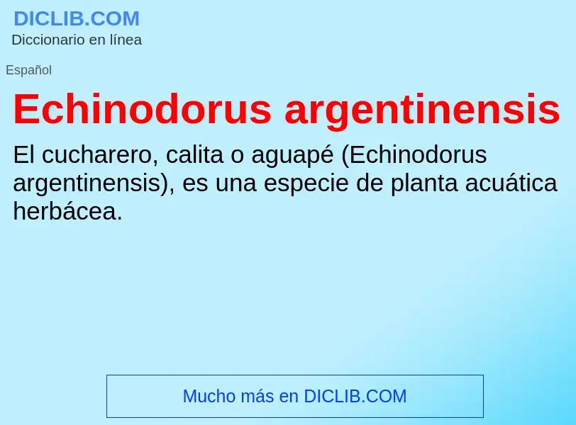 What is Echinodorus argentinensis - meaning and definition