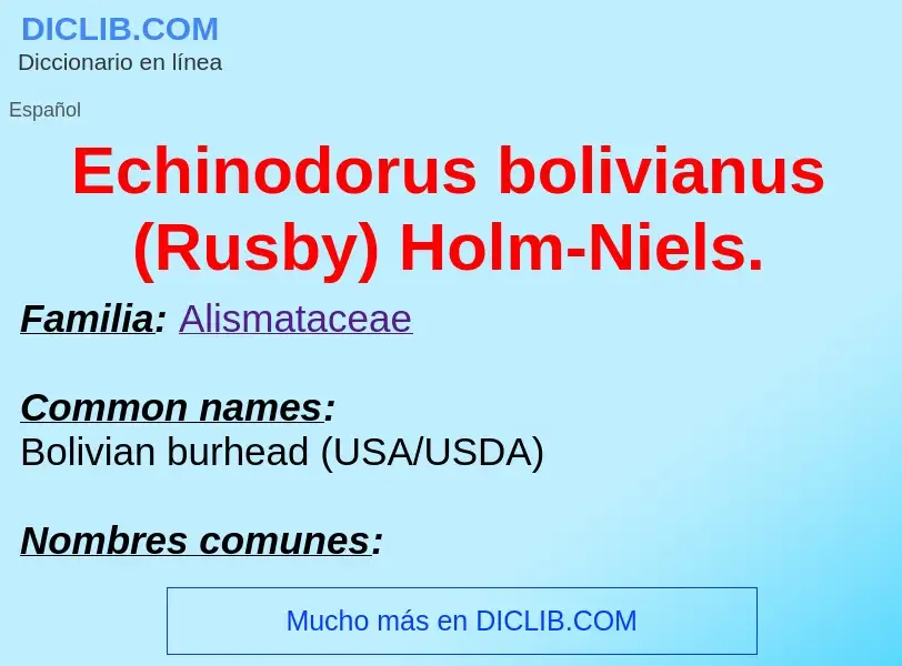 What is Echinodorus bolivianus (Rusby) Holm-Niels. - meaning and definition