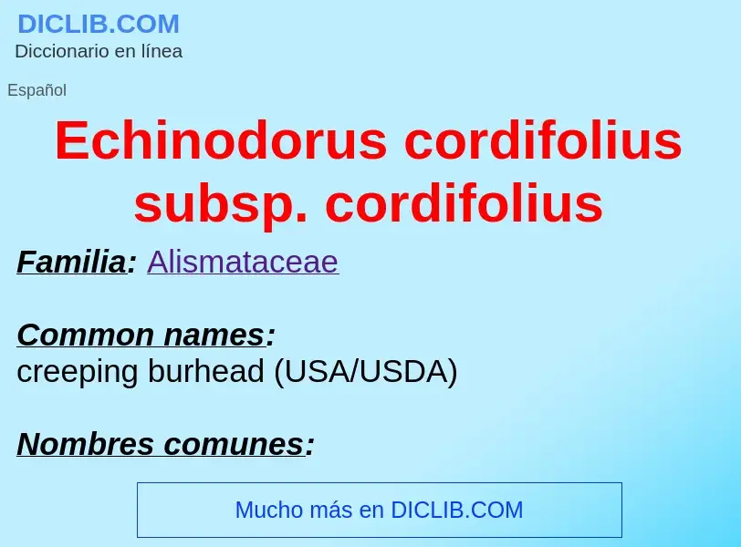 What is Echinodorus cordifolius subsp. cordifolius - meaning and definition