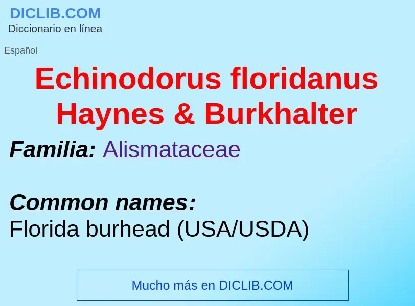 What is Echinodorus floridanus Haynes & Burkhalter - meaning and definition