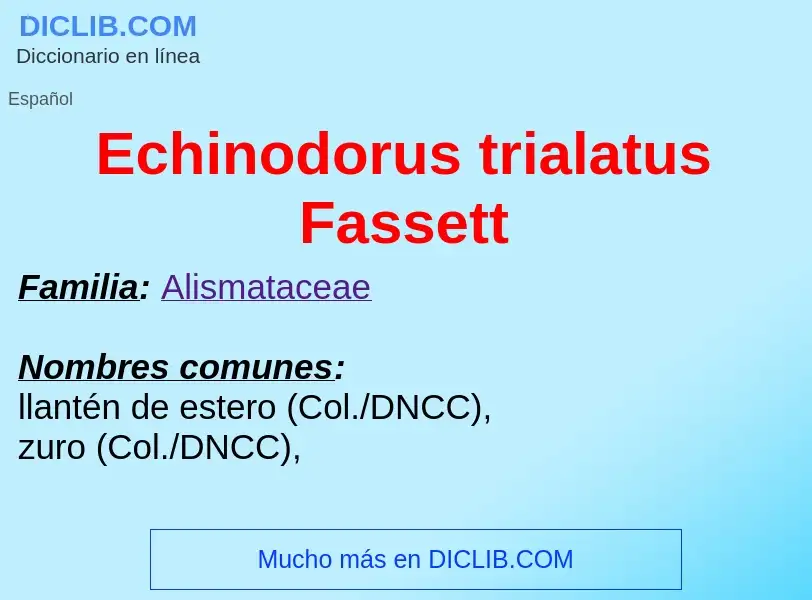 What is Echinodorus trialatus Fassett - meaning and definition