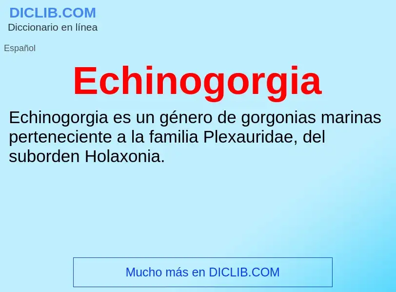 What is Echinogorgia - meaning and definition