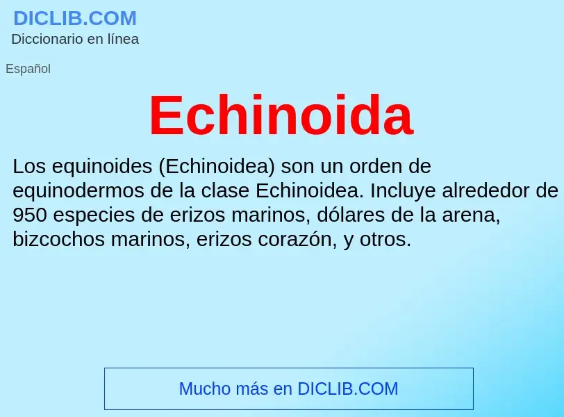 What is Echinoida - meaning and definition