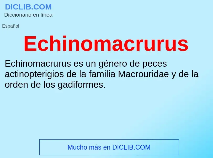 What is Echinomacrurus - meaning and definition