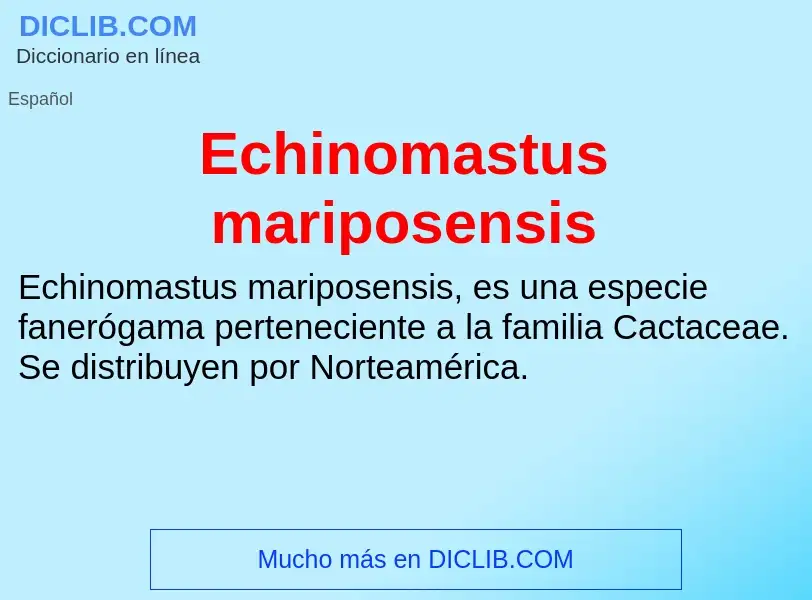 What is Echinomastus mariposensis - meaning and definition