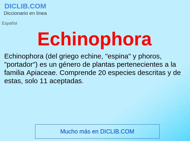 What is Echinophora - meaning and definition