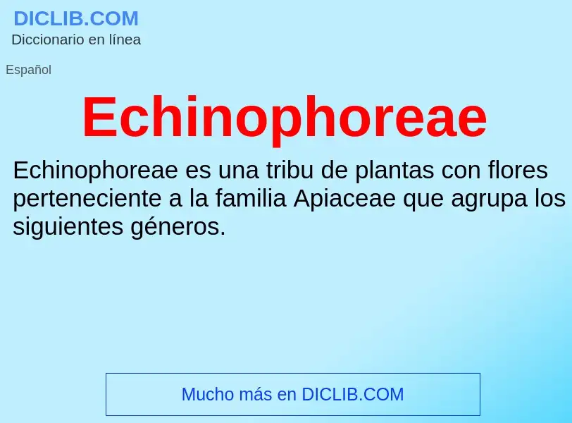 What is Echinophoreae - meaning and definition