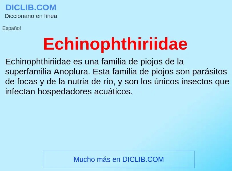 What is Echinophthiriidae - meaning and definition