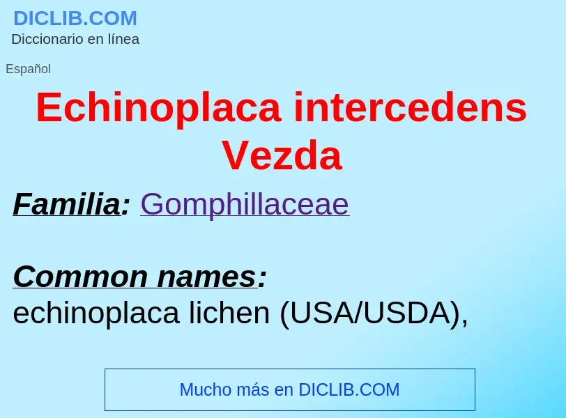 What is Echinoplaca intercedens Vezda - meaning and definition