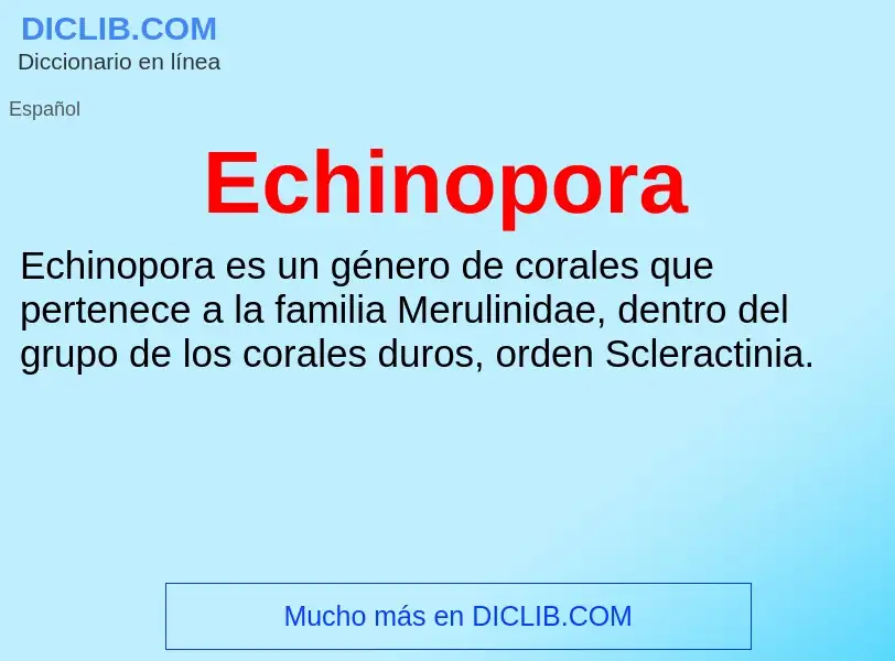 What is Echinopora - meaning and definition