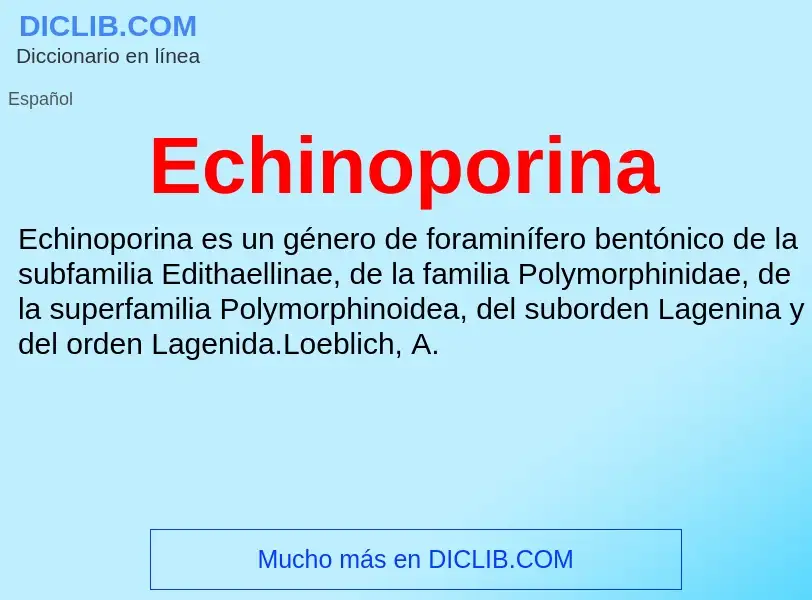 What is Echinoporina - meaning and definition