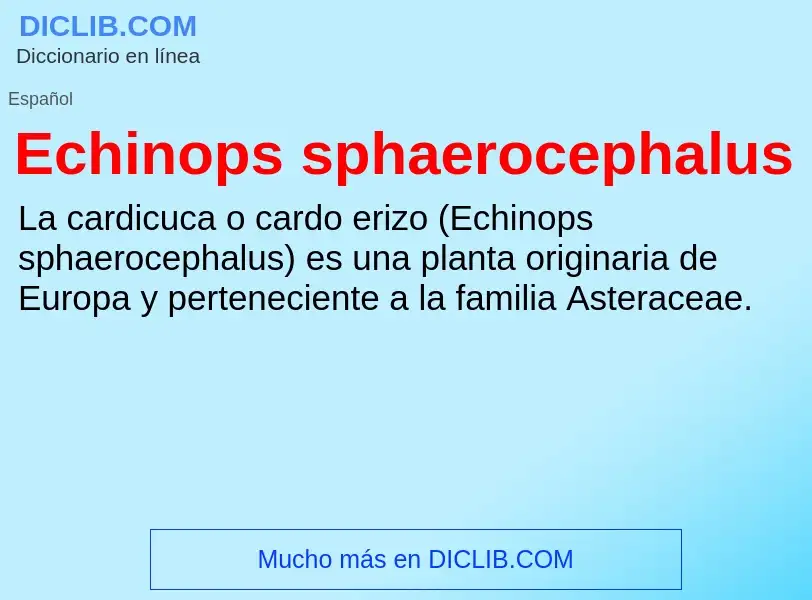 What is Echinops sphaerocephalus - meaning and definition