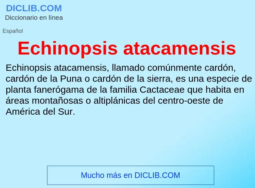 What is Echinopsis atacamensis - meaning and definition