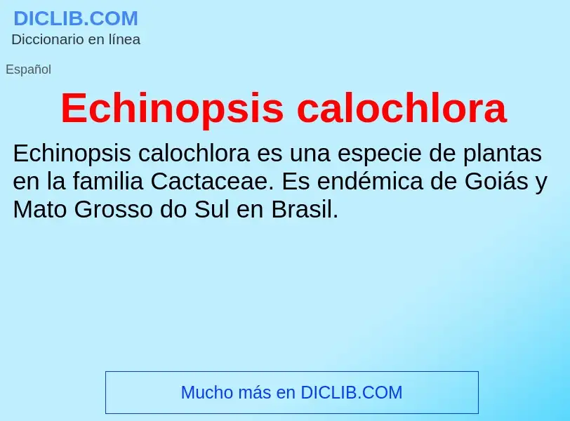 What is Echinopsis calochlora - meaning and definition