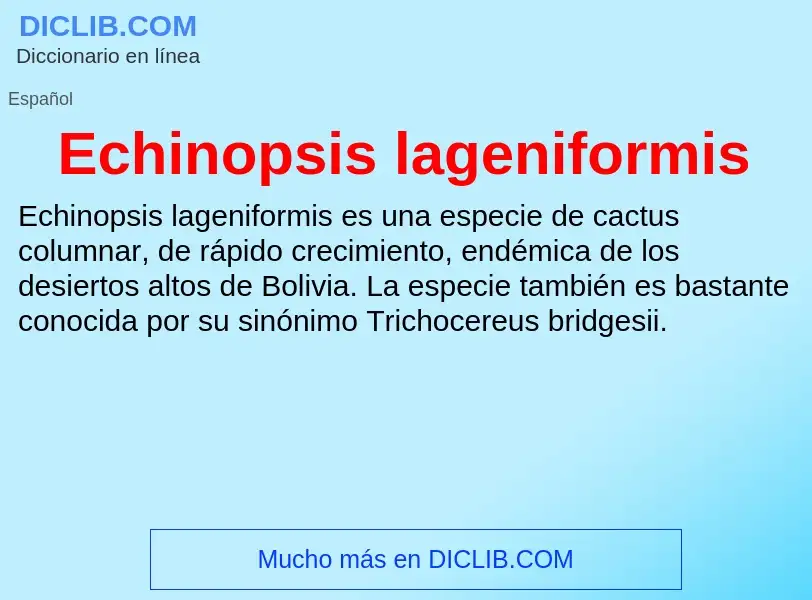 What is Echinopsis lageniformis - meaning and definition